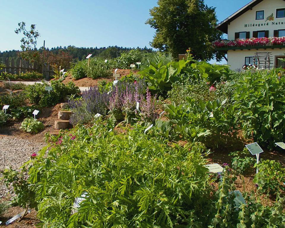 Hildegard Naturhaus Kirchberg bei Mattighofen Eksteriør billede